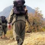 Hakkari'de PKK'lı terörist teslim oldu