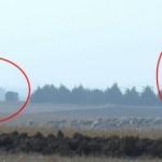 Ve ilk görüntüler ortaya çıktı! Türkiye S-400'leri ilk kez test etti