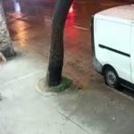 Bursa'da pes dedirten görüntü! Kıskançlık krizine giren adam...