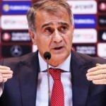 Şenol Güneş: 'Ortak hayalimiz final olsun'