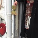 Bu dut ağacını görenler hayrete düşüyor