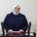 Bakan Selçuk'tan 'Mesleki Yeterlilik Belgesi' açıklaması