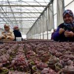Siparişlere yetişemiyorlar