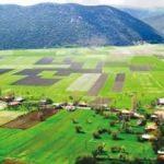 Tarımda koruma alanı genişliyor