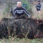 Köylüleri canından bezdirdi! Avcılar bile inanamadı