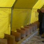 İnternetten ek iş araştırdı, sezonda 100 bin TL kazanacak