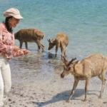 Turizm Cenneti Endonezya’dan Muhteşem Kareler