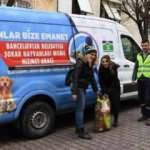 Bahçelievler Belediyesi, sokak hayvanlarına 25 ton mama dağıttı