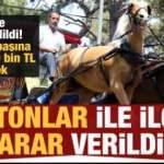 Adalar'daki faytonlar ile ilgili son dakika kararı!