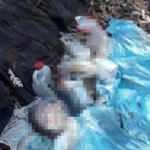 Amanoslarda 5 kilo TNT patlayıcı ve yaşam malzemesi ele geçirildi