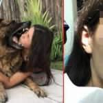 Sevmeye çalıştığı köpek, yüzünü ısırdı!