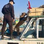 Uyuşturucu baronlarına büyük darbe! 475 kişi yakalandı