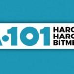 A101 24 Ocak aktüel kataloğu! Güral tekli porselen ürünlerinde...