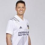 Chicharito, Los Angeles Galaxy'ye imza attı!