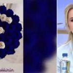 Ece Erken'den sahte paylaşım! Herkes dalga geçti