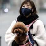 Koronavirüs'e karşı hangi maske alınmalı? Nereden alınmalı? Cerrahi maske mi, N95 maske mi?