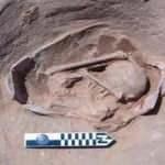 Mısır'da 83 antik mezar bulundu