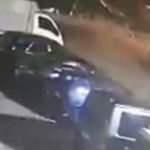 Akılalmaz savunma: Canları sıkıldığı için yapmışlar