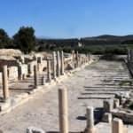 "Patara yılı" sevinçle karşılandı