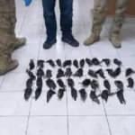 Bu avın bedeli çok ağır oldu