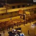Görüntüler Libya'dan! Tam 3000 deve...