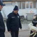 Kaybolan kuzu tren garında bulundu