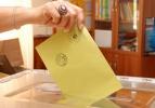 AP'den Türkiye'deki seçimlere gözlemci talebi