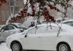 Bitlis'te her yer buz tuttu