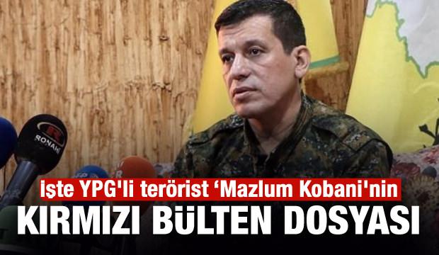 İşte YPG'li terörist Mazlum Kobani'nin 'kırmızı bülten' dosyası